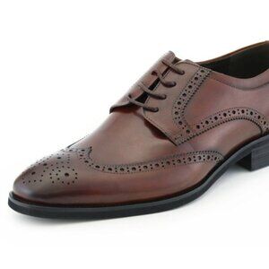 NEW Asher Green Men's Genuine Calf Leather Wingtip Dress Shoes Size 13
